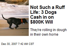 Not Such a Ruff Life: 3 Dogs Cash in on $800K Will