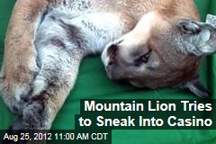 Mountain Lion Tries to Sneak Into Casino