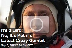 It&#39;s a Bird! No, It&#39;s Putin&#39;s Latest Crazy Gambit