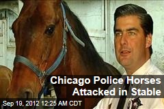 Chicago Police Horses Attacked in Stable
