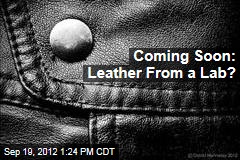 Coming Soon: Leather From a Lab?