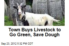Town Buys Livestock to Go Green, Save Dough
