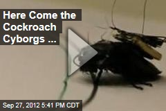 Here Come the Cockroach Cyborgs ...