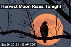 Harvest Moon Rises Tomorrow
