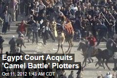 Egypt Court Acquits &#39;Camel Battle&#39; Plotters