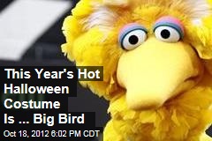 This Year&#39;s Hot Halloween Costume Is ... Big Bird
