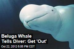 Beluga Whale Speaks ... English?