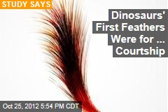 Dinosaurs&#39; First Feathers Were for ... Courtship
