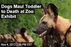 Dogs Maul Toddler to Death at Zoo Exhibit