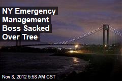 NY Emergency Management Boss Sacked Over Tree