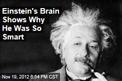 Einstein&#39;s Brain Shows Why He Was So Smart