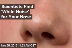 Scientists Find &#39;White Noise&#39; for Your Nose