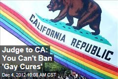 Judge to CA: You Can&#39;t Ban &#39;Gay Cures&#39;