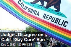Judges Disagree on Calif. &#39;Gay Cure&#39; Ban
