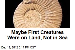 Maybe First Creatures Were on Land, Not in Sea?