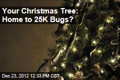 Your Christmas Tree: Home to 25K Bugs?