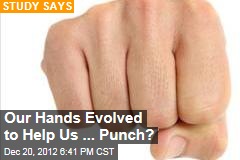 Our Hands Evolved to Help Us ... Punch?
