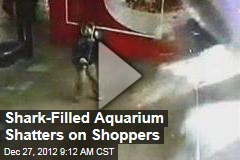 Shark-Filled Aquarium Shatters on Shoppers