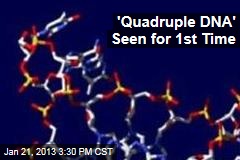 &#39;Quadruple DNA&#39; Seen for 1st Time
