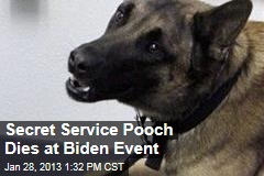 Secret Service Pooch Dies at Biden Event