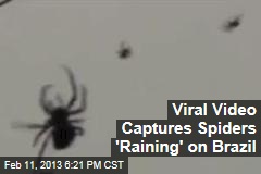 Viral Video Captures Spiders &#39;Raining&#39; on Brazil