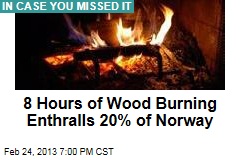 8 Hours of Wood Burning Enthralls 20% of Norway