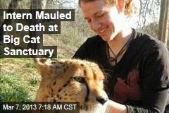 Intern Mauled to Death at Big Cat Sanctuary