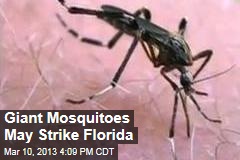 Giant Mosquitoes May Strike Florida
