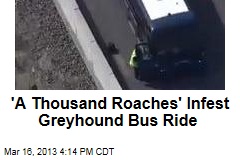 &#39;A Thousand Roaches&#39; Infest Greyhound Bus Ride