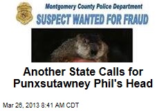 Another State Calls for Punxsutawney Phil&#39;s Head