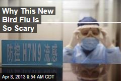 Why This New Bird Flu Is So Scary