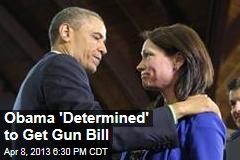 Obama &#39;Determined&#39; to Get Gun Bill