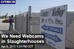 We Need Webcams in Slaughterhouses