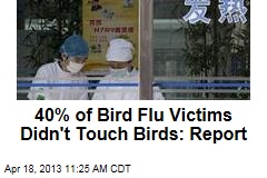40% of Bird Flu Victims Didn&#39;t Touch Birds: Report