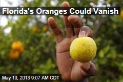 Florida&#39;s Oranges Could Vanish