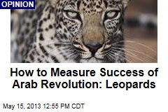 How to Measure Success of Arab Revolution: Leopards