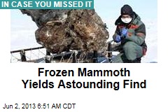 Frozen Mammoth Yields Astounding Find