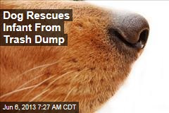 Dog Rescues Infant From Trash Dump