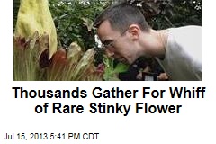 Thousands Gather For Whiff of Rare Stinky Flower