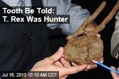 Tooth Be Told: T. Rex Was Hunter