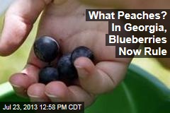 What Peaches? In Georgia, Blueberries Now Rule