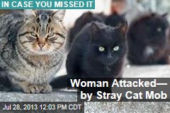 Woman Attacked&mdash; by Stray Cat Mob