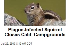 Plague-Infected Squirrel Closes Calif. Campgrounds