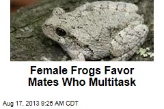 Female Frogs Favor Mates Who Multitask