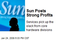 Sun Posts Strong Profits