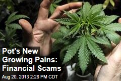 Pot&#39;s New Growing Pains: Financial Scams