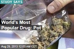 World&#39;s Most Popular Drug: Pot