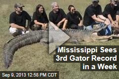 Mississippi Sees 3rd Gator Record in a Week