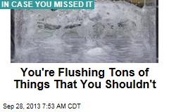 You&#39;re Flushing Tons of Things That You Shouldn&#39;t