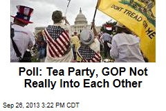 Poll: Tea Party, GOP Not Really Into Each Other